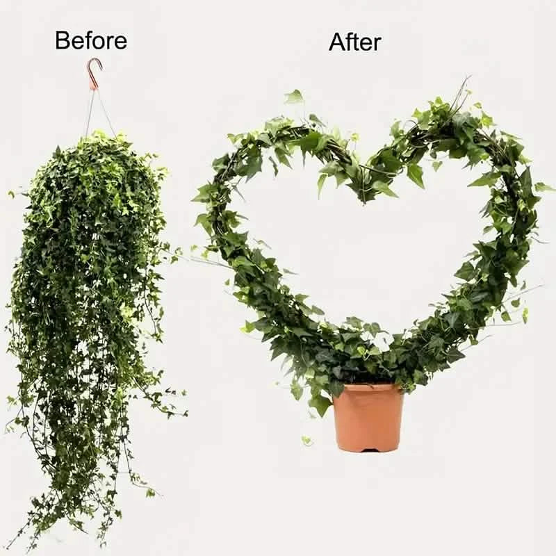 2-Pack: Heart-Shaped Plant Support Stake Garden & Patio - Tophatter Daily Deals