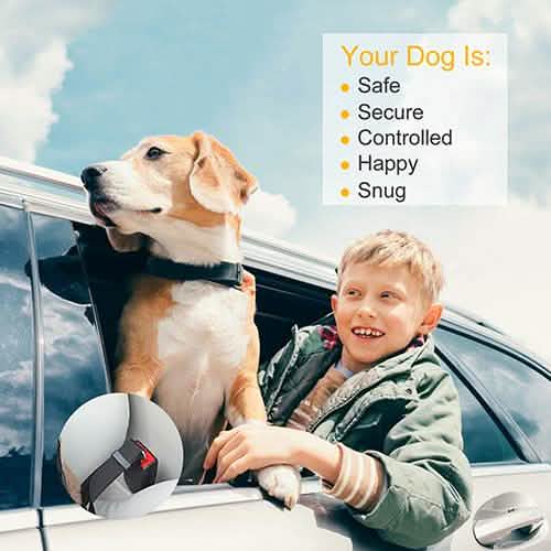 2-Pack: Multipurpose Pet Safety Pet Supplies - Tophatter Daily Deals