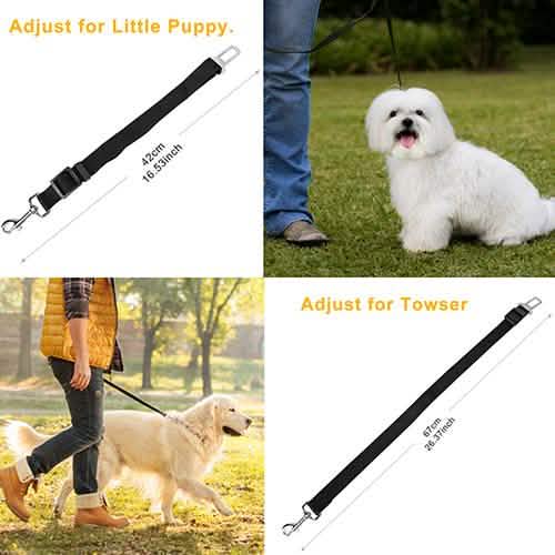 2-Pack: Multipurpose Pet Safety Pet Supplies - Tophatter Daily Deals