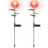 2-Pack: Solar LED Chrysanthemum Lights Pink Outdoor Lighting - Tophatter Daily Deals