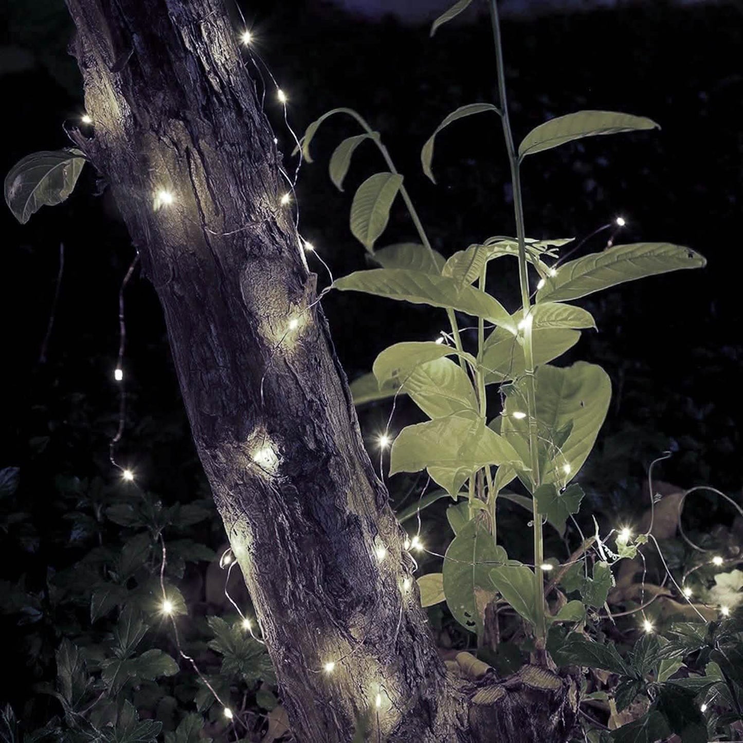 2-Piece: 100LED Beads String Lights String & Fairy Lights - Tophatter Daily Deals