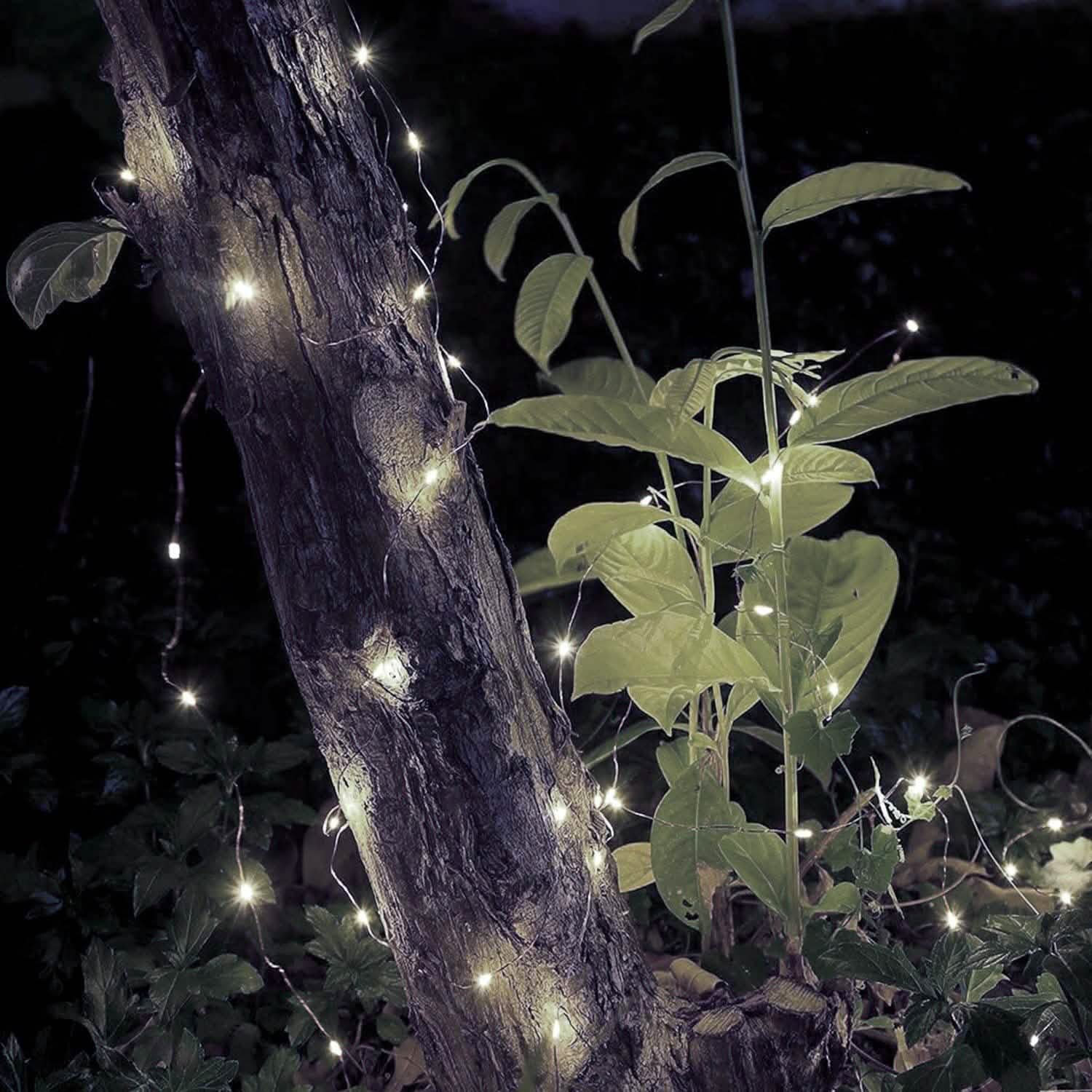2-Piece: 100LED Beads String Lights String & Fairy Lights - Tophatter Daily Deals