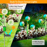 2-Piece: 36 LED Dandelion Solar Lights Outdoor Lighting - Tophatter Daily Deals