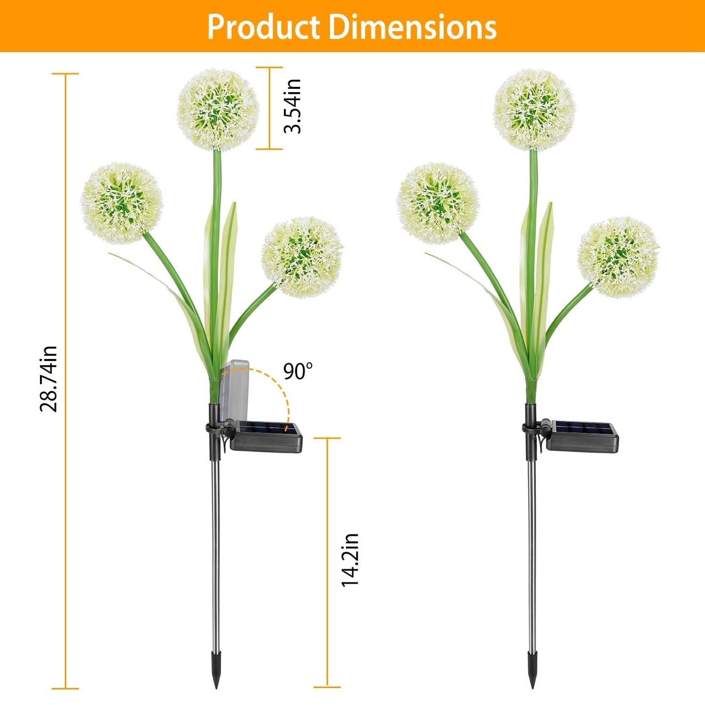 2-Piece: 36 LED Dandelion Solar Lights Outdoor Lighting - Tophatter Daily Deals