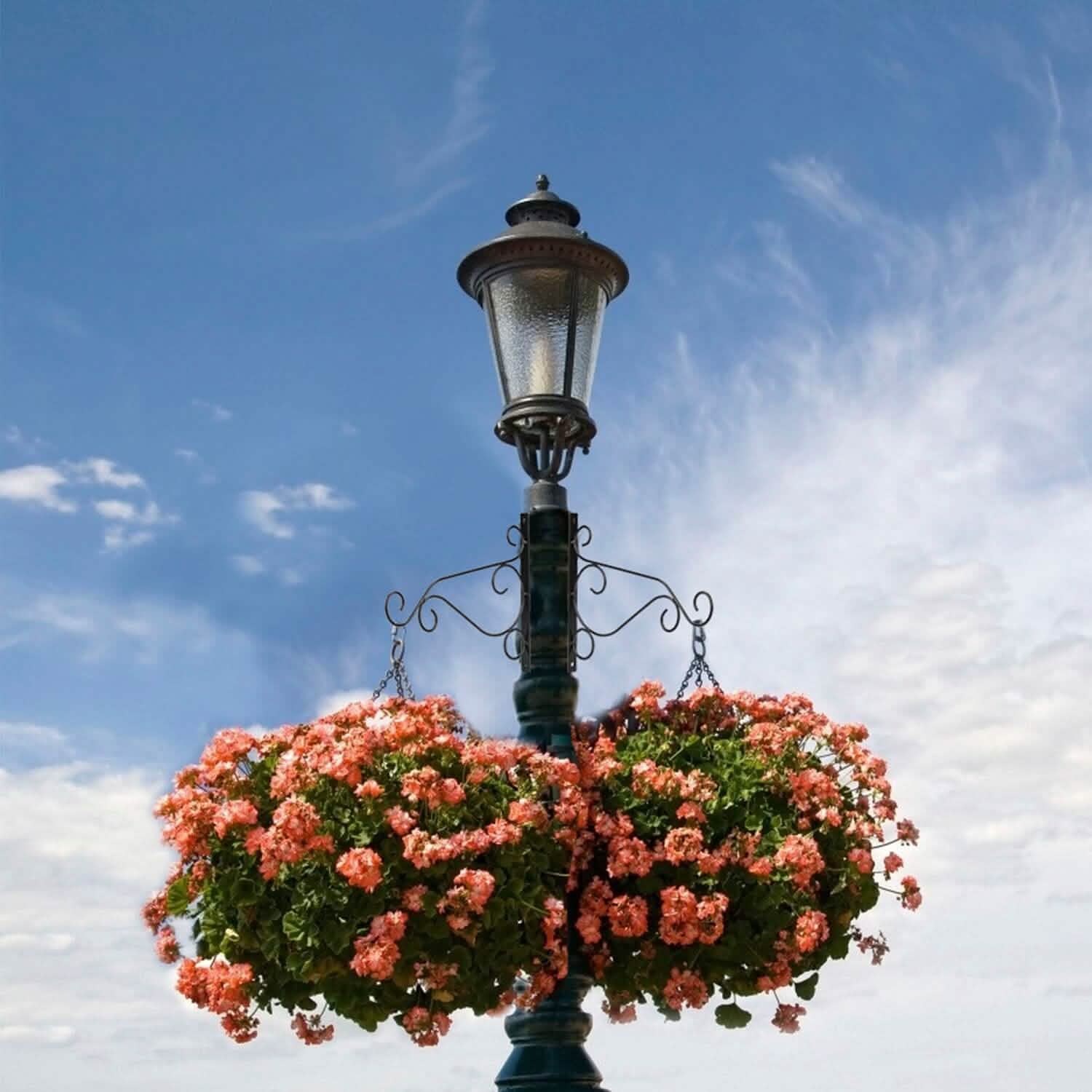 2-Piece: Iron Plant Hanging Bracket Plant Hanger Wall Hooks Garden & Patio - Tophatter Daily Deals