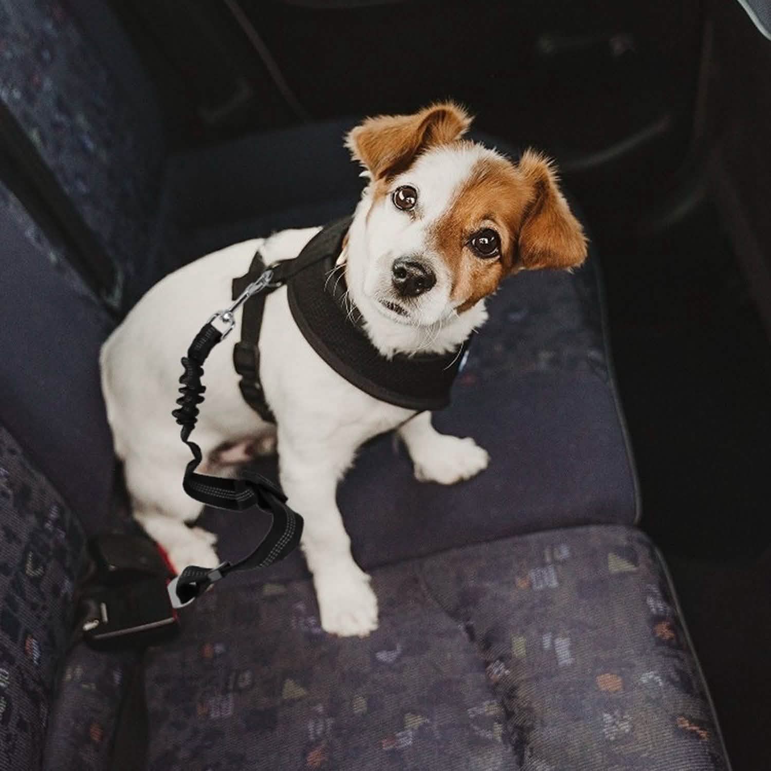 2-Piece: Pet Car Safety Seatbelt Pet Supplies - Tophatter Daily Deals