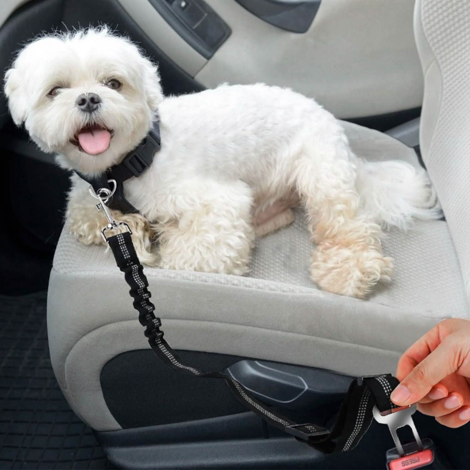 2-Piece: Pet Car Safety Seatbelt Pet Supplies - Tophatter Daily Deals