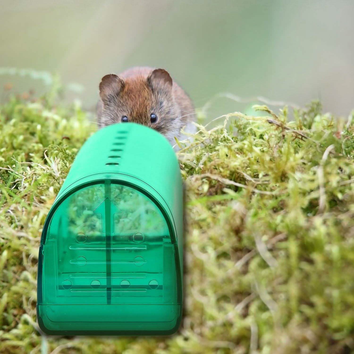 2-Pieces: Reusable Humane Mouse Trap Pest Control - Tophatter Daily Deals