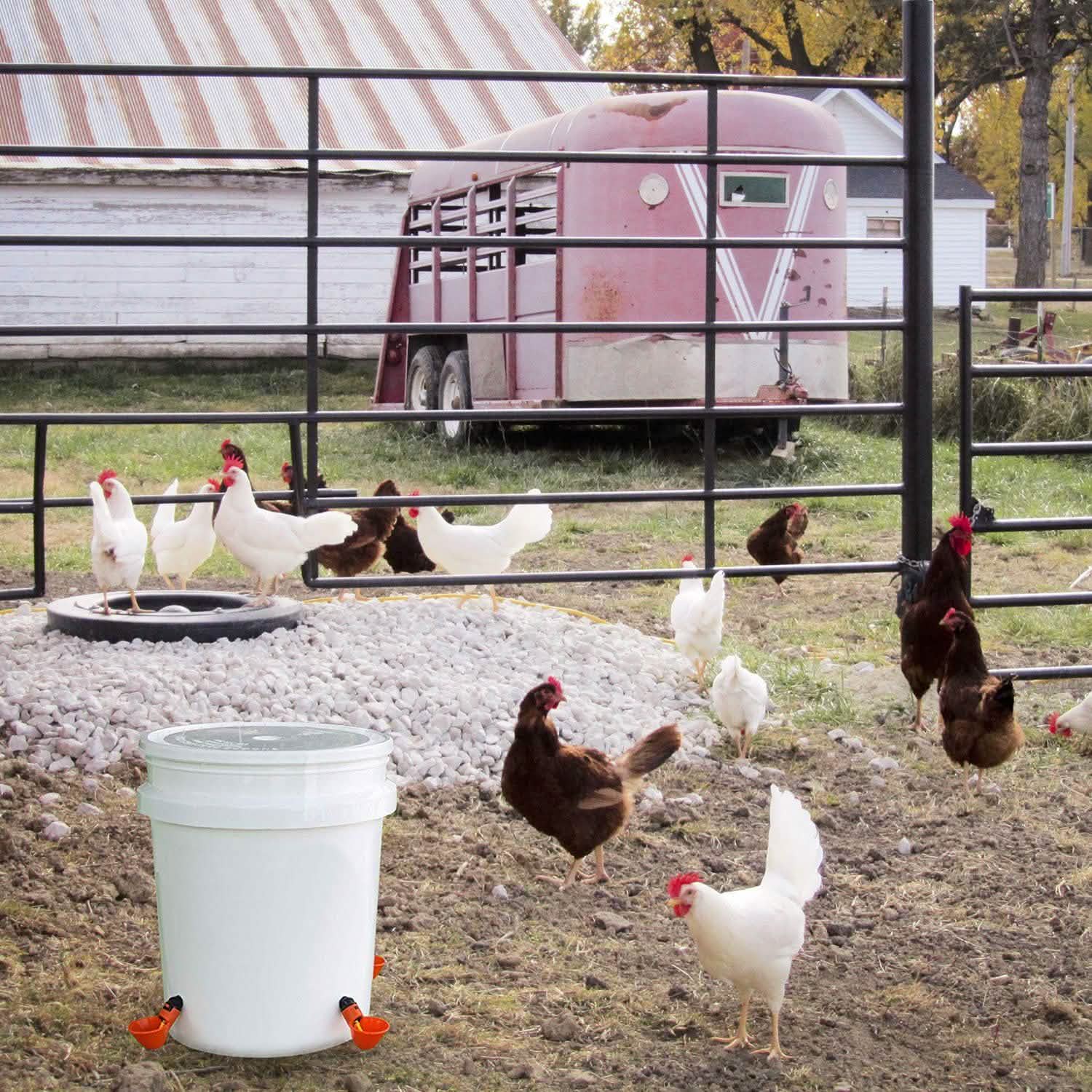 20-Pack: Chicken Waterer Automatic Drinker Pet Supplies - Tophatter Daily Deals