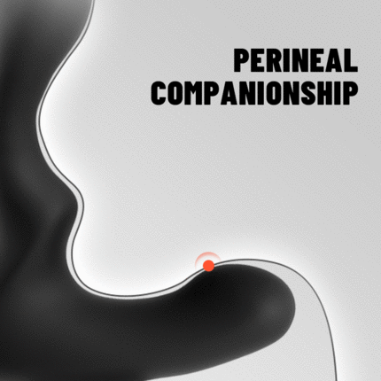 Acmejoy - 9-Pattern Vibration Prostate Massager Anal Toys - Tophatter Daily Deals