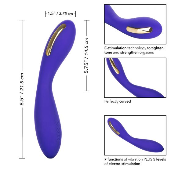 Impulse Intimate E Stimulator Wand in Purple Vibrator - Tophatter Daily Deals