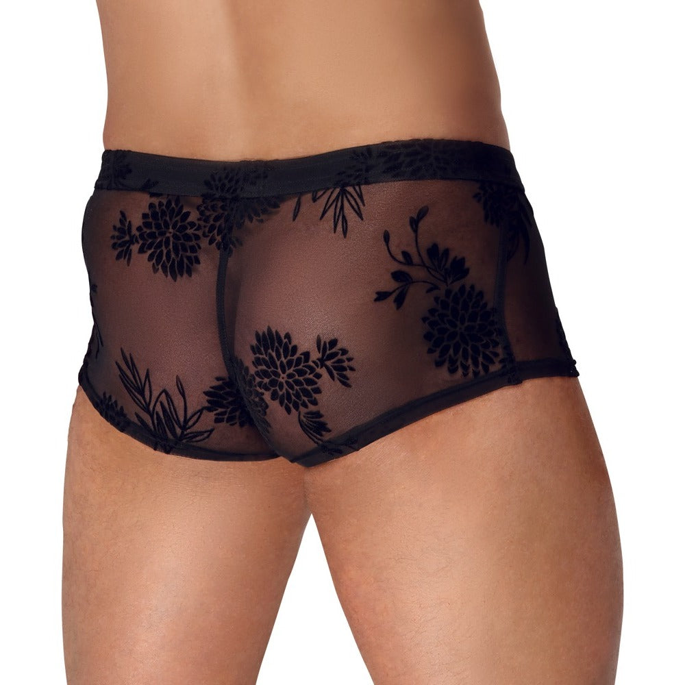 Noir Sheer Floral Lace Pants – Transparent Stretch Lingerie Pants > Clothes > Mens Trunks - Tophatter Daily Deals
