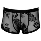 Noir Sheer Floral Lace Pants – Transparent Stretch Lingerie Pants > Clothes > Mens Trunks - Tophatter Daily Deals