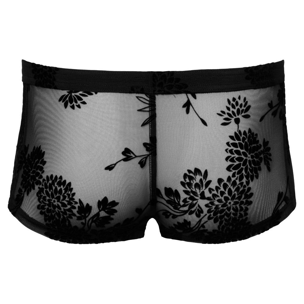 Noir Sheer Floral Lace Pants – Transparent Stretch Lingerie Pants > Clothes > Mens Trunks - Tophatter Daily Deals