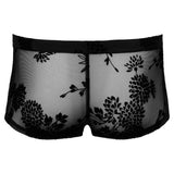 Noir Sheer Floral Lace Pants – Transparent Stretch Lingerie Pants > Clothes > Mens Trunks - Tophatter Daily Deals