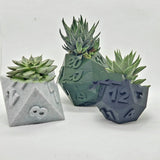 3D Printed Plant Pot Table Top RPG Dice Succulent Planter Set Home Decoration Multifunction Garden Flower Pot 0 - Tophatter Daily Deals