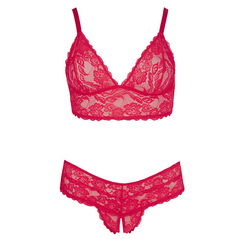 Cottelli Plus Size Lace Bra and Crotchless Briefs – Wireless Lingerie Set > Clothes > Plus Size Lingerie - Tophatter Daily Deals