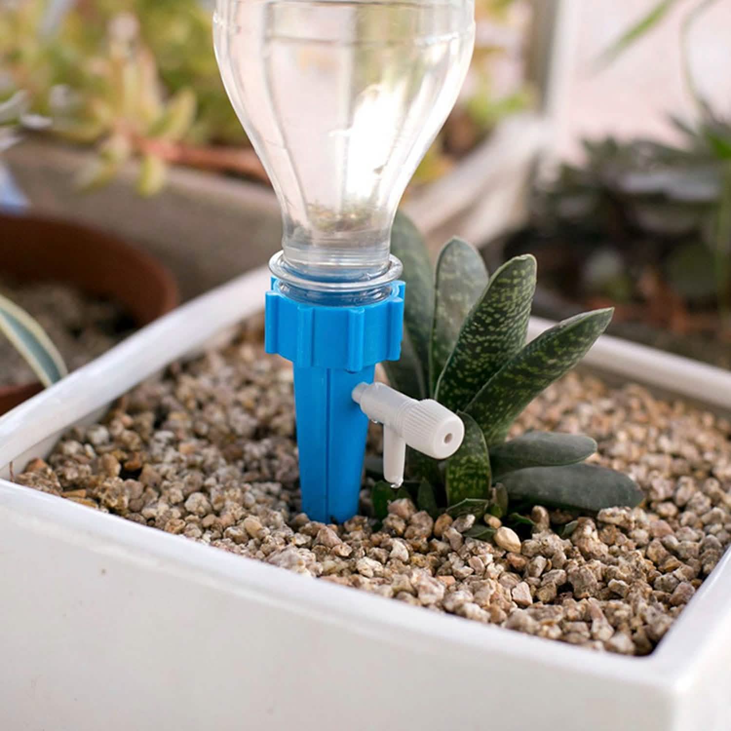 24-Piece: Plant Watering Spikes Self Watering Device Garden & Patio - Tophatter Daily Deals