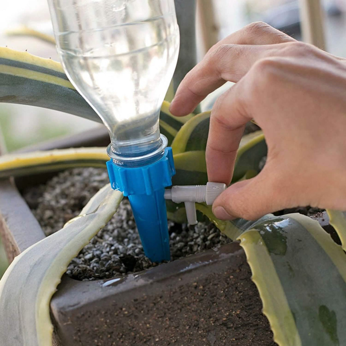 24-Piece: Plant Watering Spikes Self Watering Device Garden & Patio - Tophatter Daily Deals