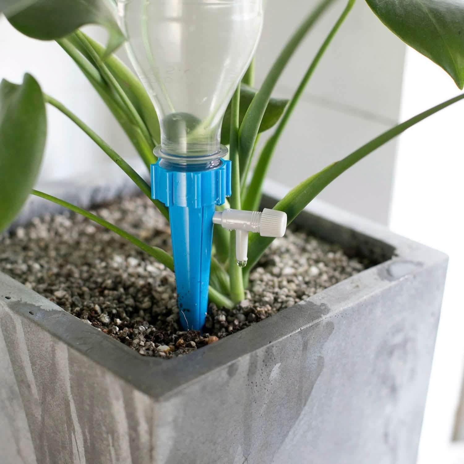24-Piece: Plant Watering Spikes Self Watering Device Garden & Patio - Tophatter Daily Deals