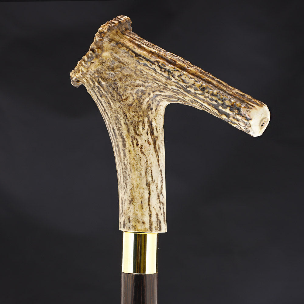 Thumbstick Bone Handle Walking Cane w/Custom Shaft and Collar Bone Handles - Tophatter Daily Deals