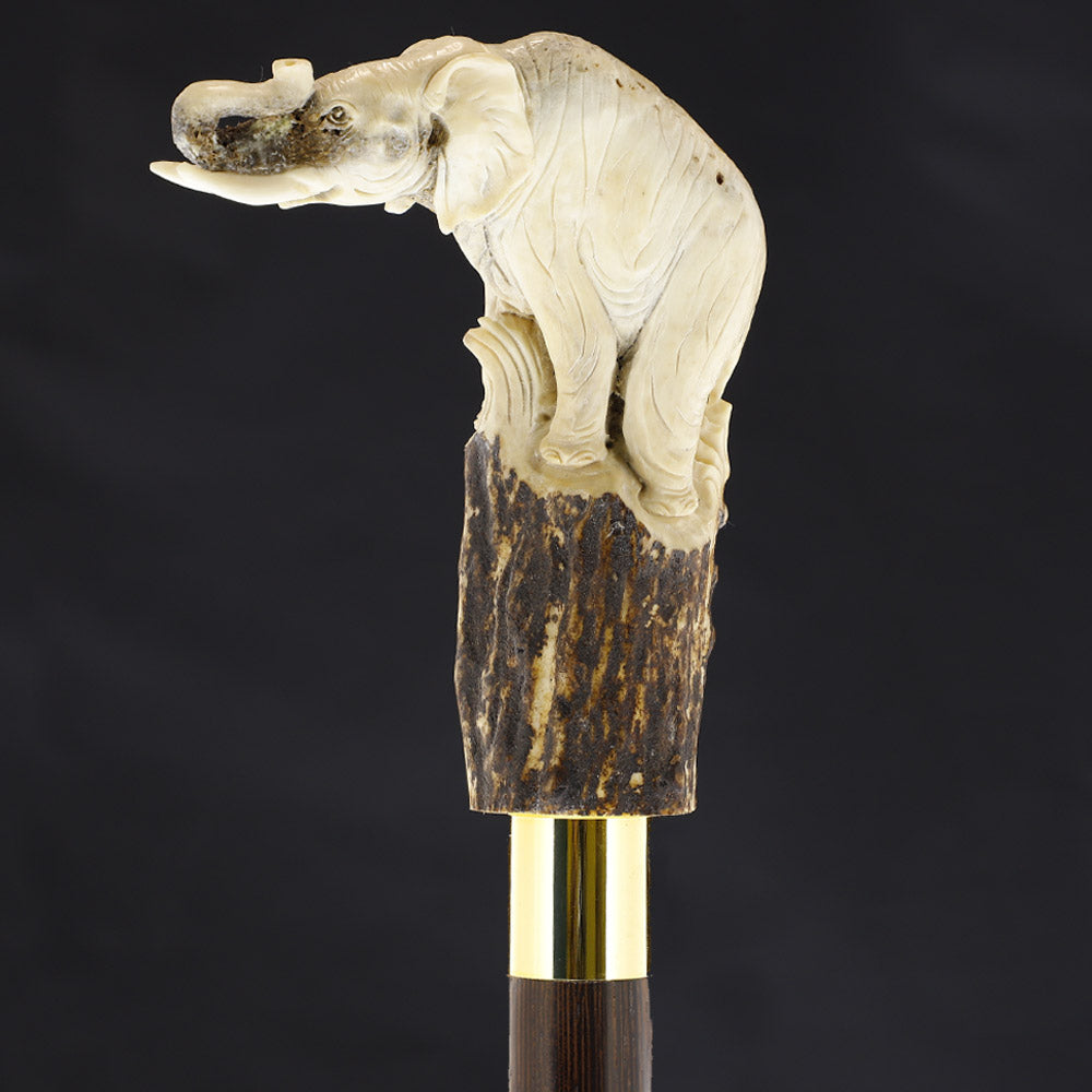 Elephant Bone Handle Walking Cane w/Custom Shaft and Collar Bone Handles - Tophatter Daily Deals