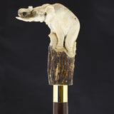 Elephant Bone Handle Walking Cane w/Custom Shaft and Collar Bone Handles - Tophatter Daily Deals