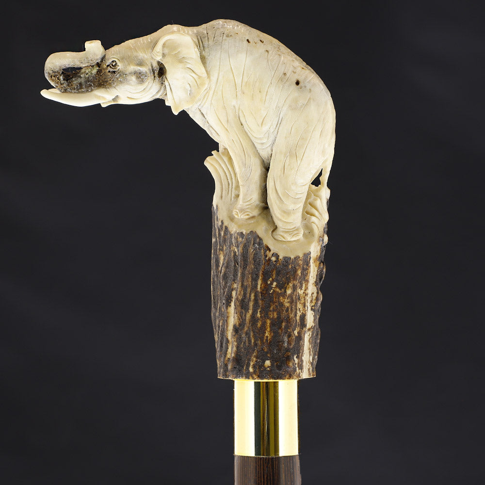Elephant Bone Handle Walking Cane w/Custom Shaft and Collar Bone Handles - Tophatter Daily Deals