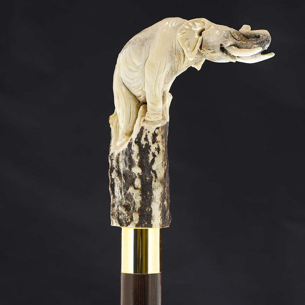Elephant Bone Handle Walking Cane w/Custom Shaft and Collar Bone Handles - Tophatter Daily Deals