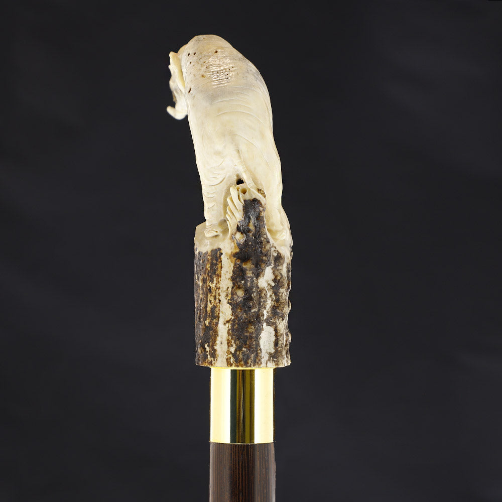 Elephant Bone Handle Walking Cane w/Custom Shaft and Collar Bone Handles - Tophatter Daily Deals
