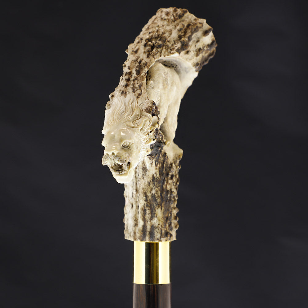 Lion Protects Bear Bone Handle Walking Cane w/Custom Shaft and Collar Bone Handles - Tophatter Daily Deals