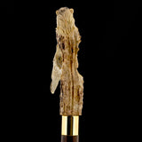 Carved Warriors Eagle/Lion Bone Handle Cane - Limited Supply Bone Handles - Tophatter Daily Deals