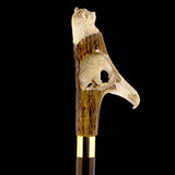 Warriors Eagle/Lion Bone Handle Walking Cane w/Custom Shaft and Collar Bone Handles - Tophatter Daily Deals