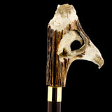 Defining Sophistication: Eagle/Lion Bone Handle Walking Cane with Custom Shaft and Collar Bone Handles - Tophatter Daily Deals