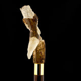 Embrace Elegance: Eagle/Lion Bone Handle Walking Cane with Custom Shaft and Collar Bone Handles - Tophatter Daily Deals