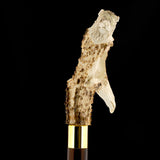 Embrace Elegance: Eagle/Lion Bone Handle Walking Cane with Custom Shaft and Collar Bone Handles - Tophatter Daily Deals