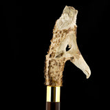 Embrace Elegance: Eagle/Lion Bone Handle Walking Cane with Custom Shaft and Collar Bone Handles - Tophatter Daily Deals