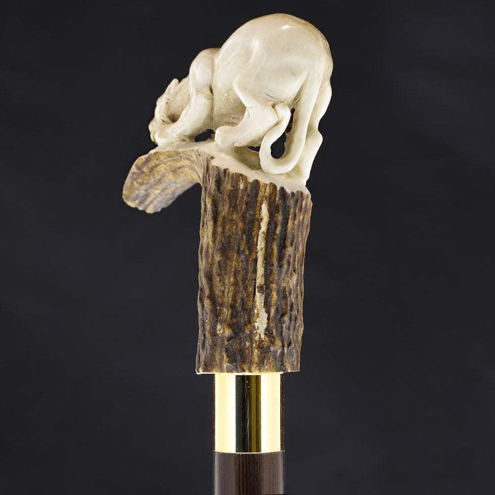 Prowling Panther Bone Handle Walking Cane w/Custom Shaft and Collar Bone Handles - Tophatter Daily Deals