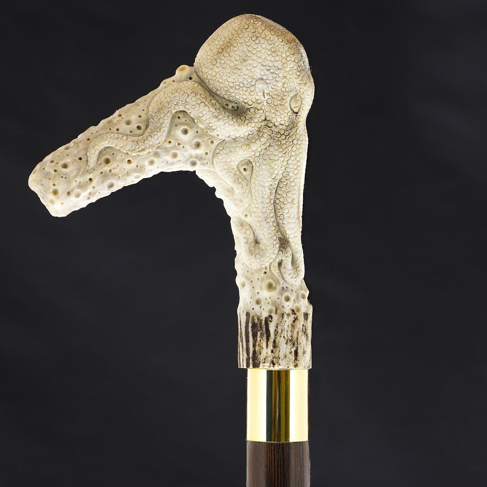 Octopus Bone Handle Walking Cane w/Custom Shaft and Collar Bone Handles - Tophatter Daily Deals