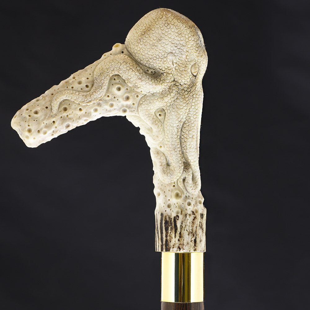Octopus Bone Handle Walking Cane w/Custom Shaft and Collar Bone Handles - Tophatter Daily Deals