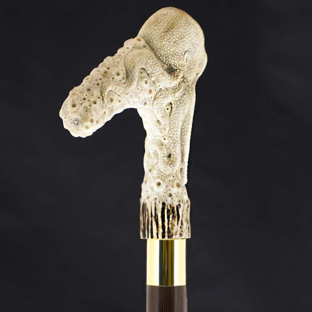 Octopus Bone Handle Walking Cane w/Custom Shaft and Collar Bone Handles - Tophatter Daily Deals