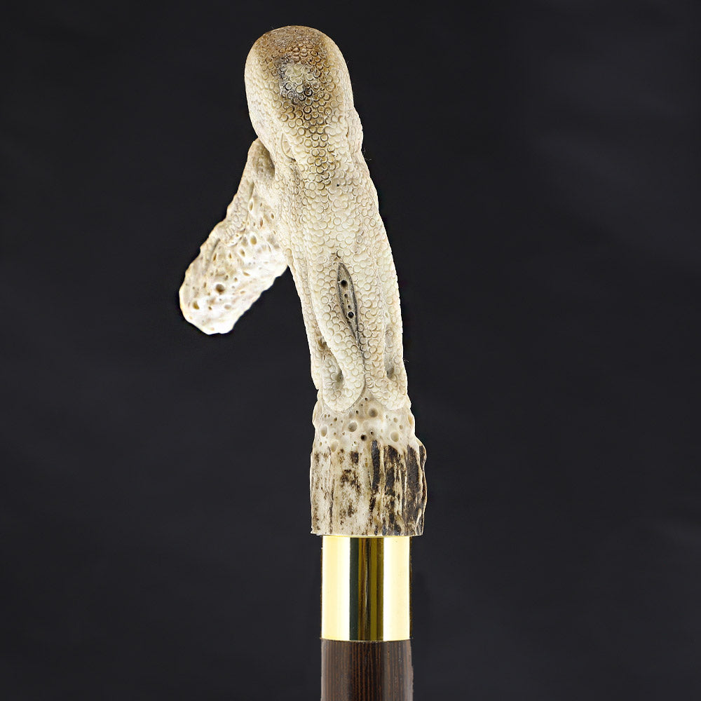 Octopus Bone Handle Walking Cane w/Custom Shaft and Collar Bone Handles - Tophatter Daily Deals