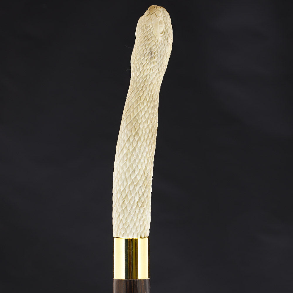Traveling Snake Bone Handle Walking Cane w/Custom Shaft and Collar Bone Handles - Tophatter Daily Deals