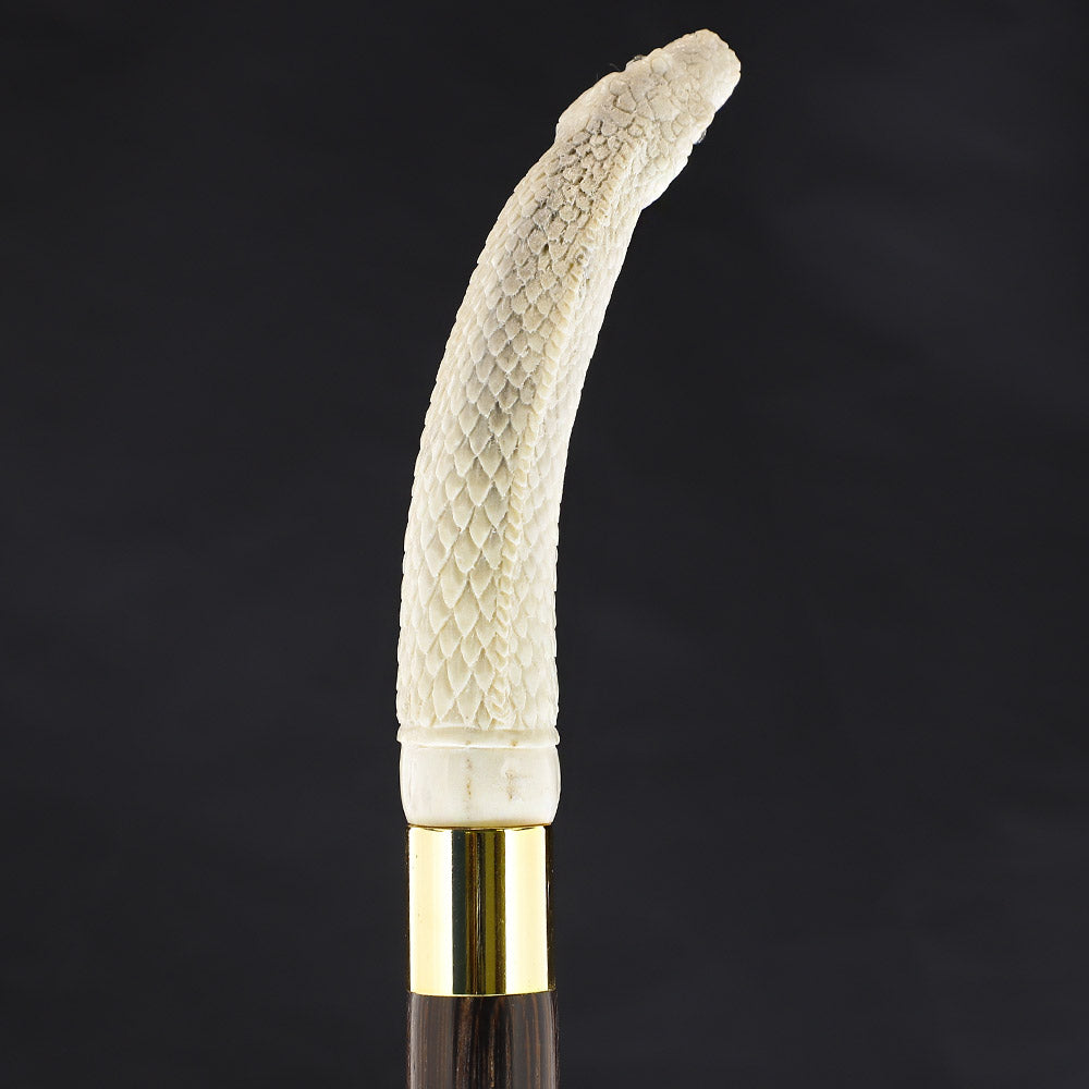 Hungry Snake Bone Handle Walking Cane w/Custom Shaft and Collar Bone Handles - Tophatter Daily Deals