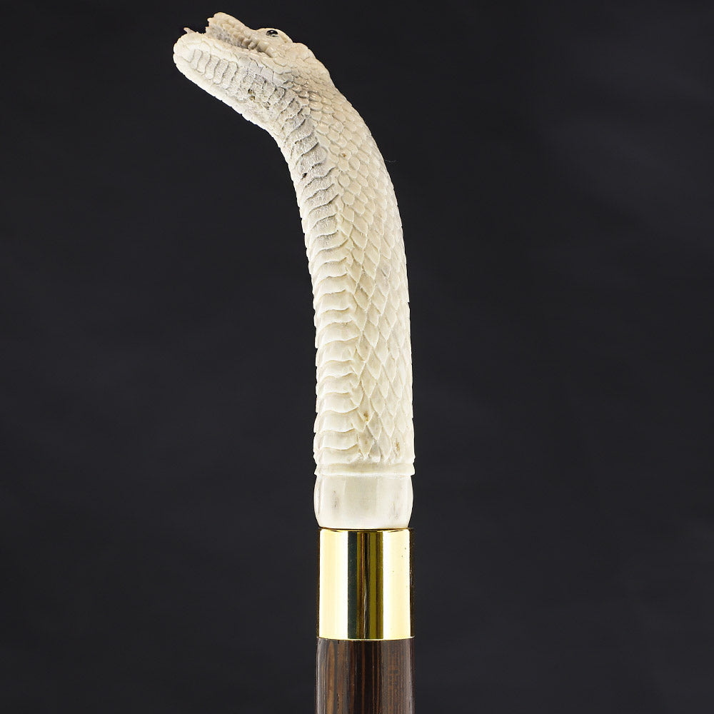 Hungry Snake Bone Handle Walking Cane w/Custom Shaft and Collar Bone Handles - Tophatter Daily Deals