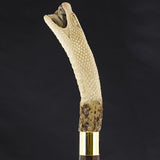 Fortified Snake Bone Handle Walking Cane w/Custom Shaft and Collar Bone Handles - Tophatter Daily Deals