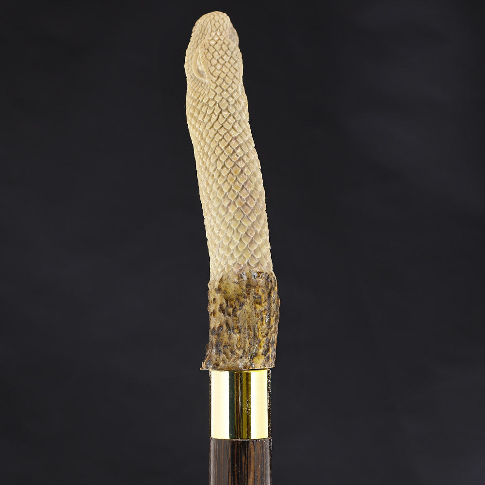 Fortified Snake Bone Handle Walking Cane w/Custom Shaft and Collar Bone Handles - Tophatter Daily Deals