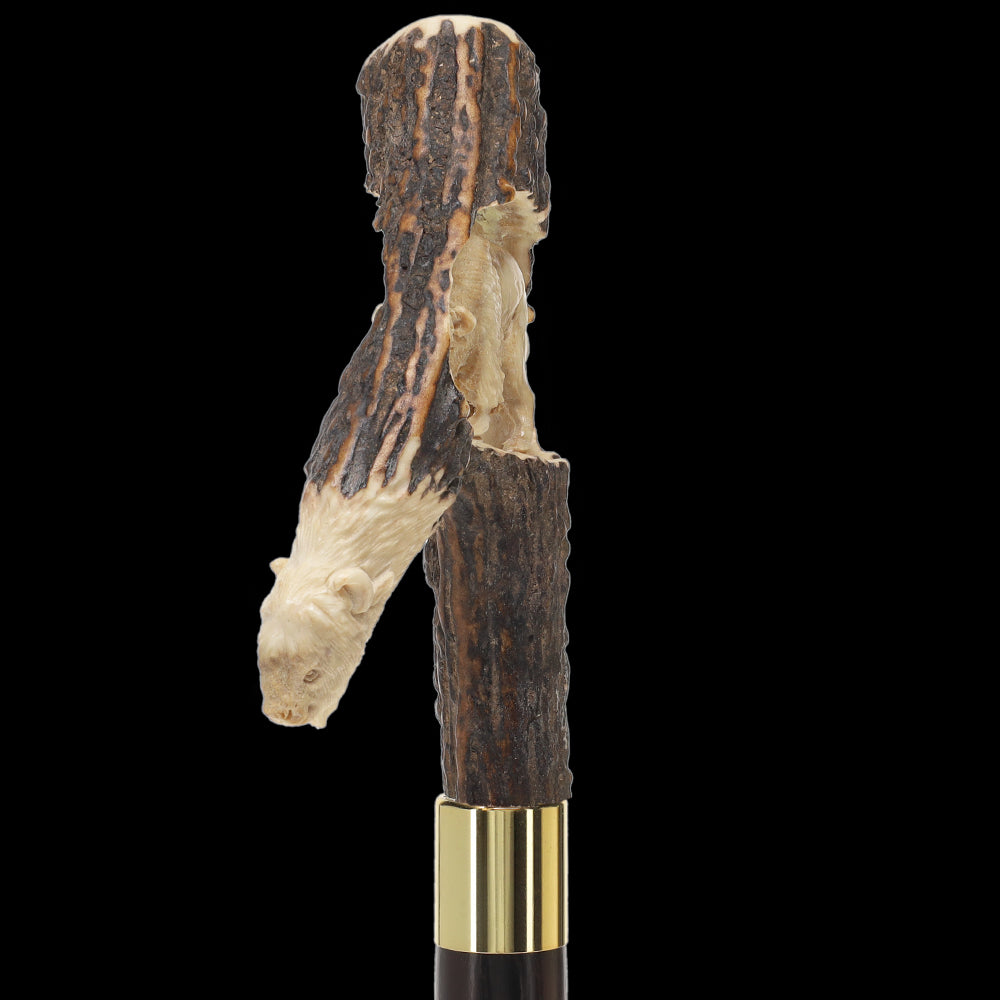 Bison Antler Buffalo Bone Handle Collector Cane w/Custom Shaft and Collar Bone Handles - Tophatter Daily Deals