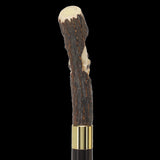 Carved Bison Antler Buffalo Bone: Collector Cane - Limited Supply Bone Handles - Tophatter Daily Deals