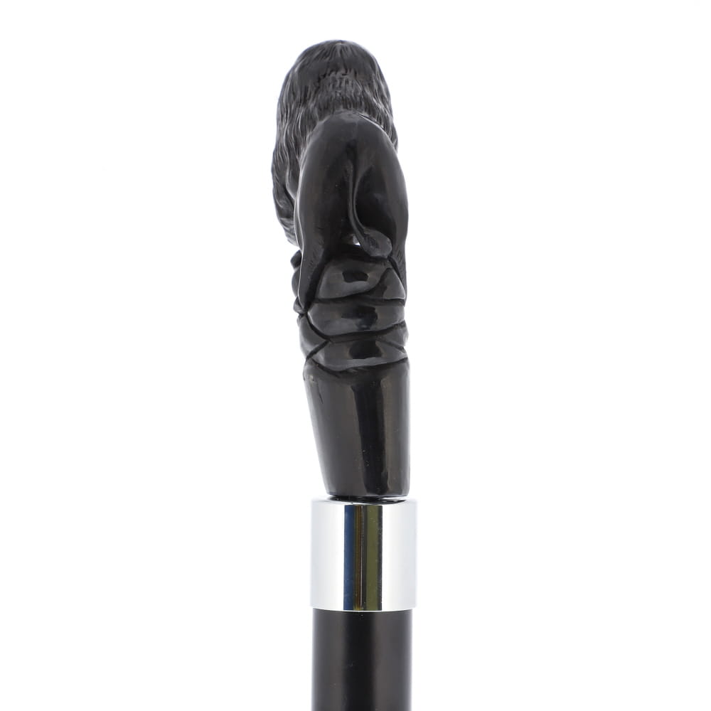 Bison Dark Buffalo Horn Handle Collector Cane w/Custom Shaft and Collar Bone Handles - Tophatter Daily Deals